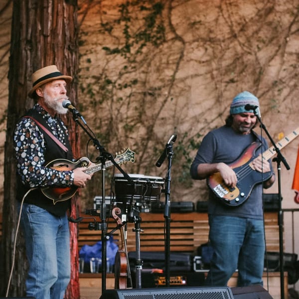 Two musicians performing live, one playing mandolin and the other a bass guitar.