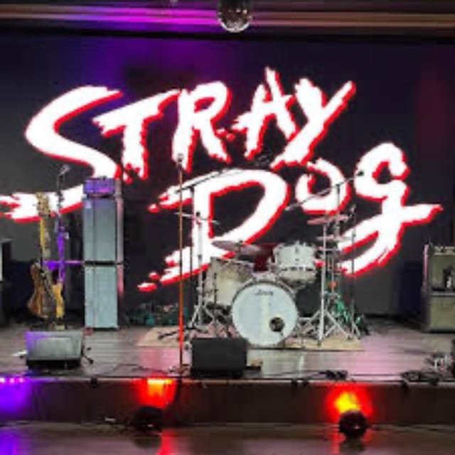 Union Stage- Stray Dog
